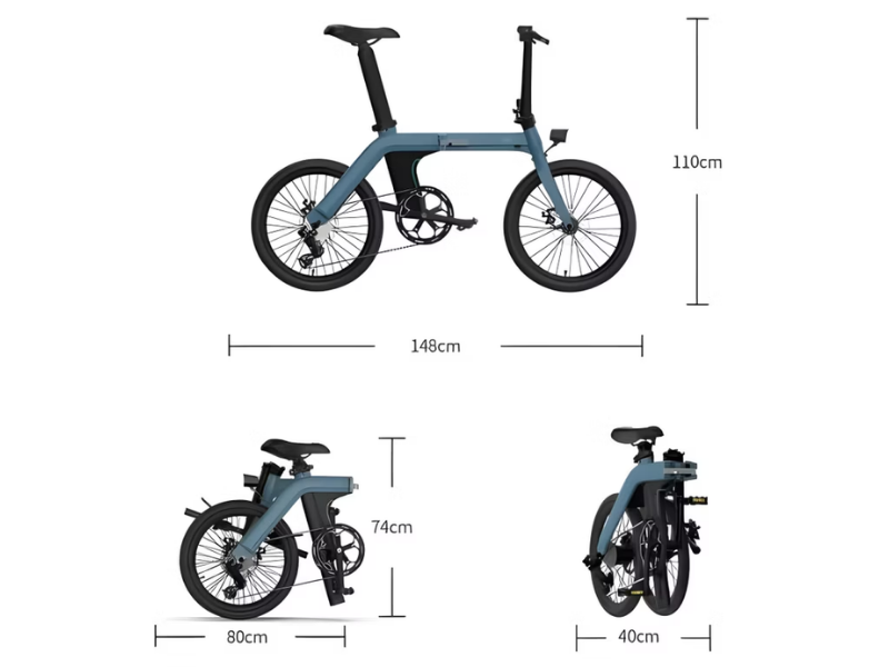 Fiido D11 Electric Bicycle