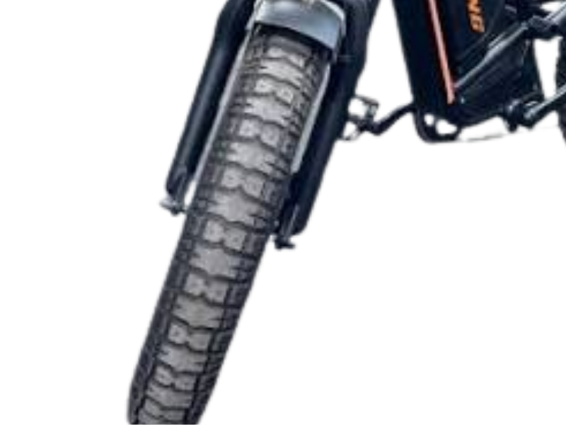GoRacing T02 Fat Tyre Ebike