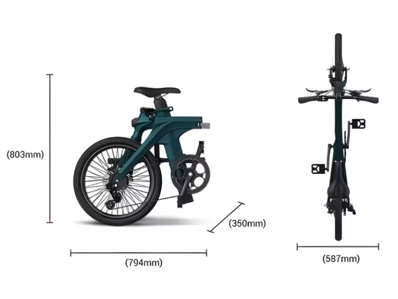 Fiido X Electric Bicycle