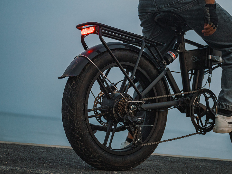 Fiido M1 Pro Ebike