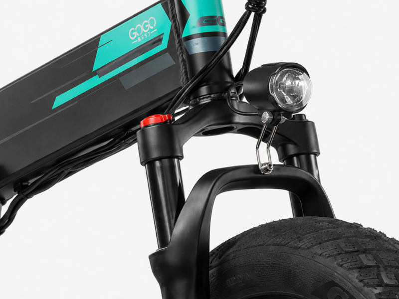 Fiido M1 Pro Ebike