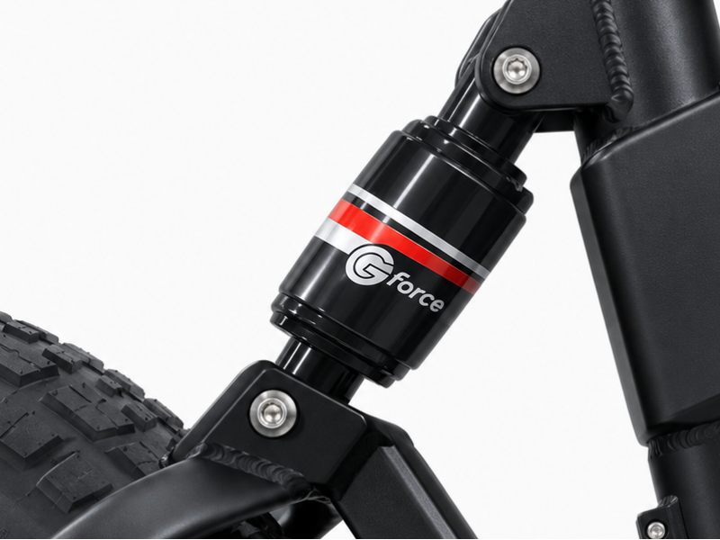 Fiido M1 Pro Ebike
